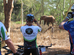 A close encounter with elephants. (Image: Children in the Wilderness)