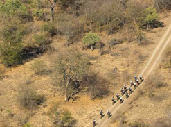 The Tour de Kruger takes bikers on a 70-kilometre ride every day for five days, through pristine African bushveld. 