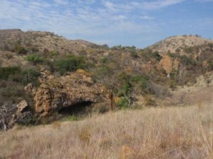 This is a view of the uitkomst cave, a well-known archaeological site close to the sediba site. Credit: Image courtesy of Paul Dirks