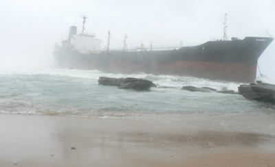Shipwrecked Credit: Tracey Izatt