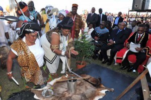 President Zuma in Makana