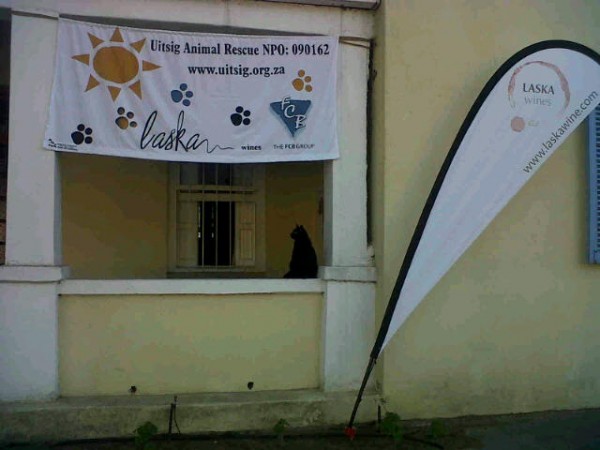 Uitsig Animal Rescue