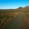 Road-Through-Karoo-Vegeta-007