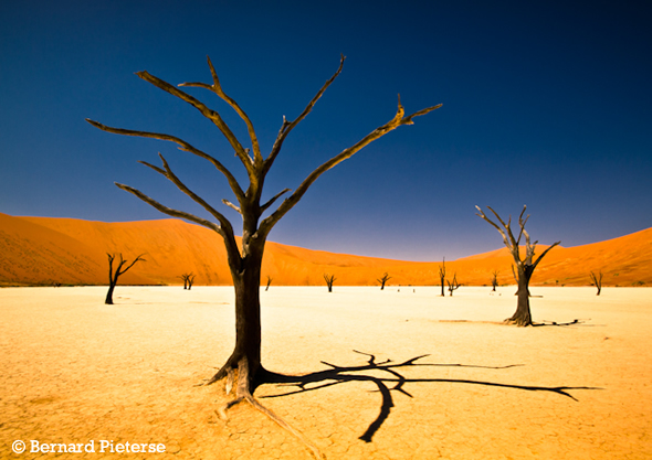 Sossusvlei by South African teenager Bernard Pieterse