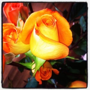 A rose for Rosie Huntington-Whiteley from Candice Swanepoel
