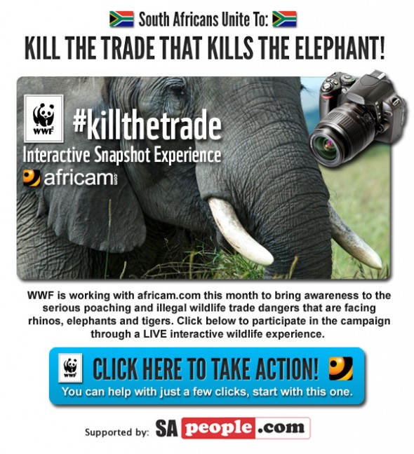 South Africans unite to Kill the Trade that Kills the Elephant