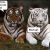 bleach