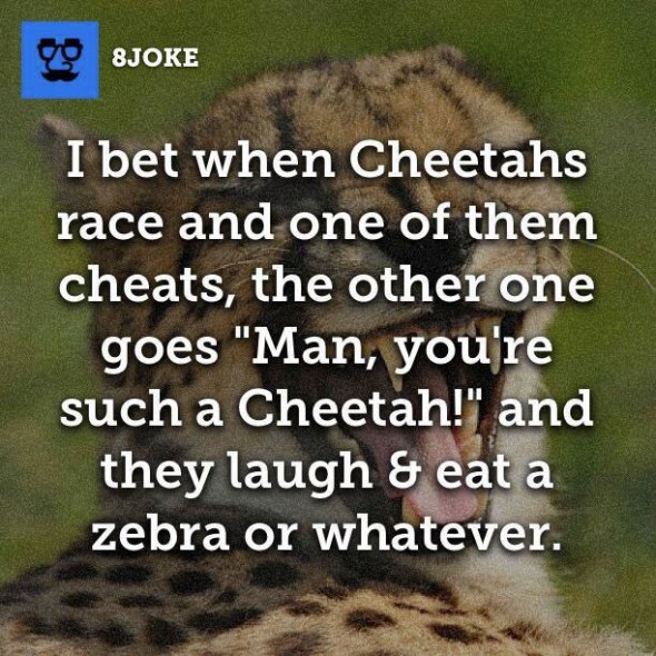 cheetah-cheating