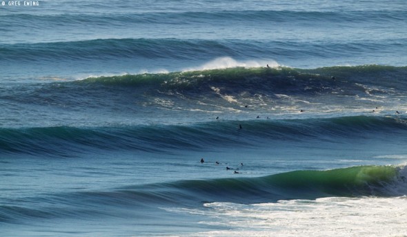 Durban Swell - Survival of the Fittest Durban Swell - Survival of the Fittest