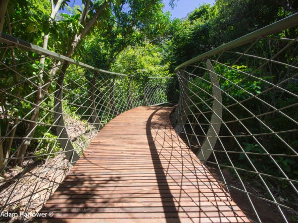 Planks have already been laid here - at the new Treetop Canopy Walkway at Kirstenbosch National Botanical Garden. Planks have already been laid here - at the new Treetop Canopy Walkway at Kirstenbosch National Botanical Garden.
