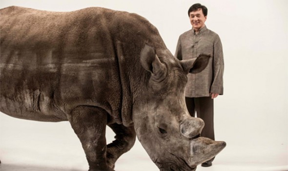 Jackie Chan and Spike the Rhino Jackie Chan and Spike the Rhino