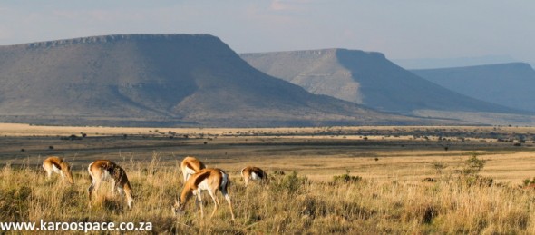 The characteristic flat-topped hills of the Karoo