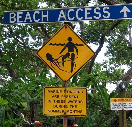 The Friendly Beach Welcome