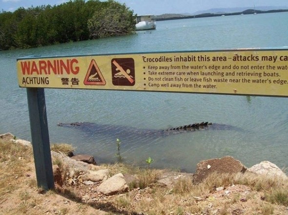 The Unnecessary Warning