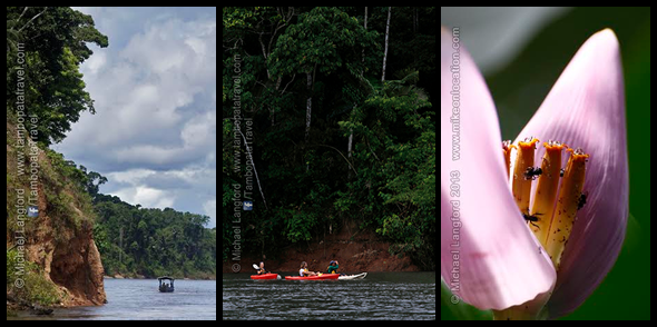 Kayaking and boating on the river, with Banana Flower on the right.