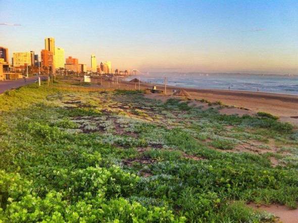Durban beachfront 2014 Durban beachfront 2014