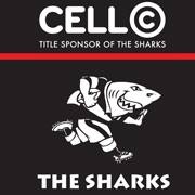 Sharks Sharks
