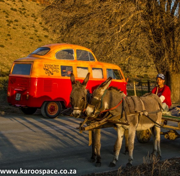 Creek meets Karoo in the form of a Nieu-Bethesda donkey taxi. Creek meets Karoo in the form of a Nieu-Bethesda donkey taxi.
