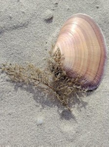 Yzerfontein Yzerfontein