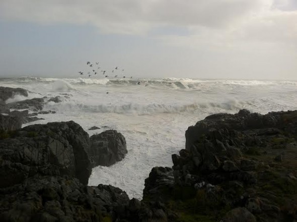 Yzerfontein Yzerfontein
