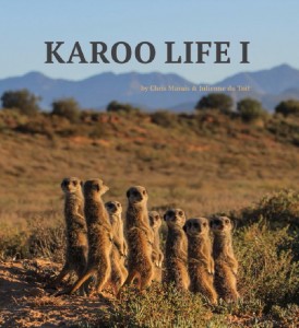 Karoo Life I
