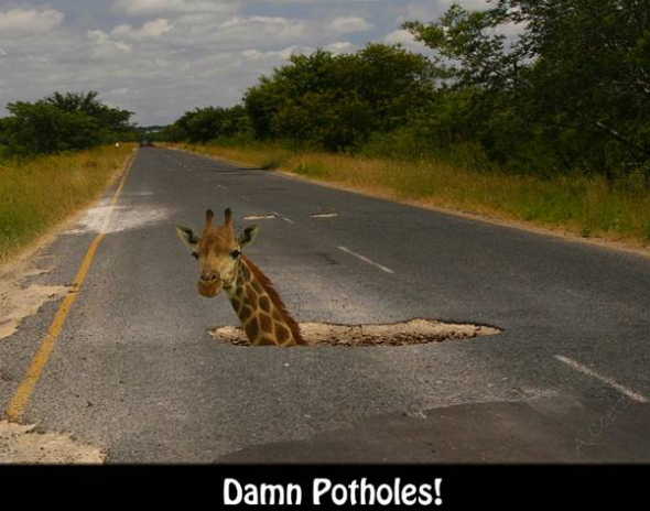 Giraffe pothole