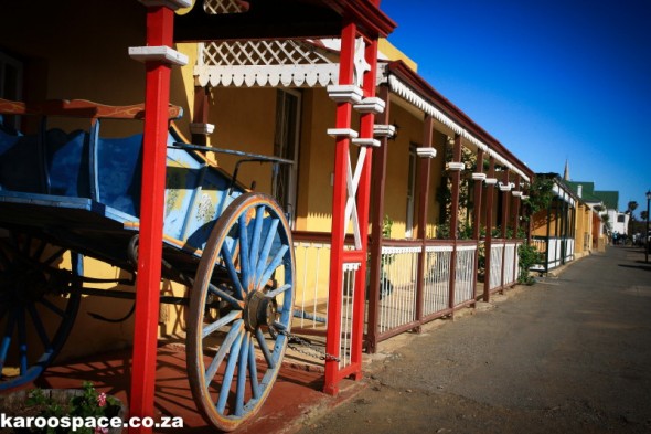 Today in Cradock - sunny and bright, with spring well sprung.
