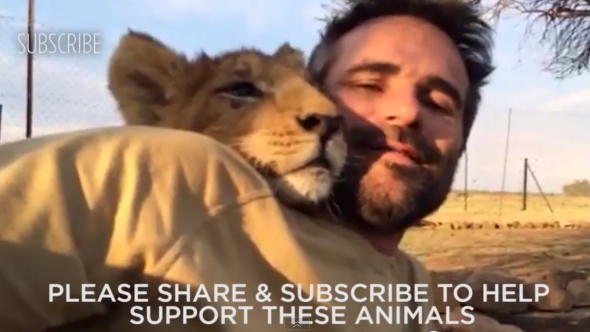 The Lion Whisperer The Lion Whisperer