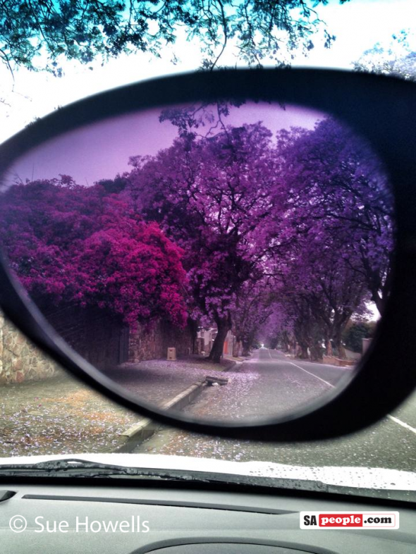 Sue Howells - Took this yesterday in Kensington, Jozi Jacarandas in Kensington
