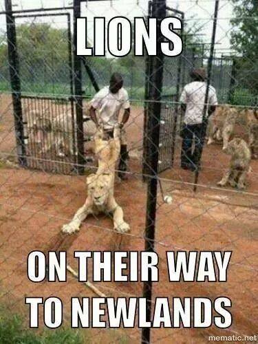 Lions vs WP at Newlands, South Africa, joke