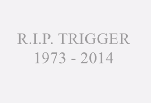 A tribute to Trigz appears at the end of the video. A tribute to Trigz appears at the end of the video.