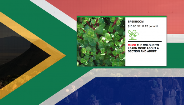 The Giant Flag, South Africa The Giant Flag, South Africa