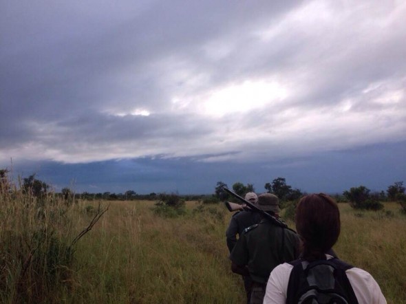 Africa’s no walk in the park: Hiking in Kruger in February 2014 Africa’s no walk in the park: Hiking in Kruger in February 2014