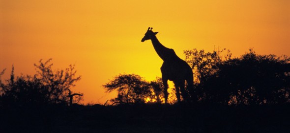National Parks South Africa National Parks South Africa