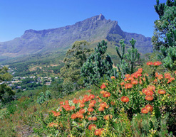 National Parks South Africa