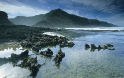National Parks South Africa National Parks South Africa
