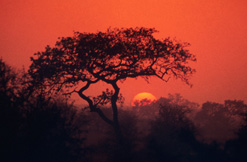 National Parks South Africa National Parks South Africa
