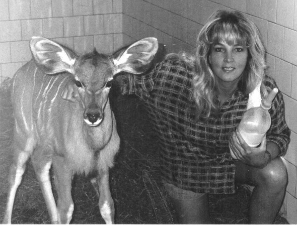 Louise with the wildebeest Louise with the wildebeest