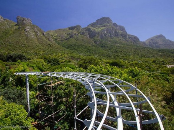 Kirstenbosch South Africa Kirstenbosch South Africa