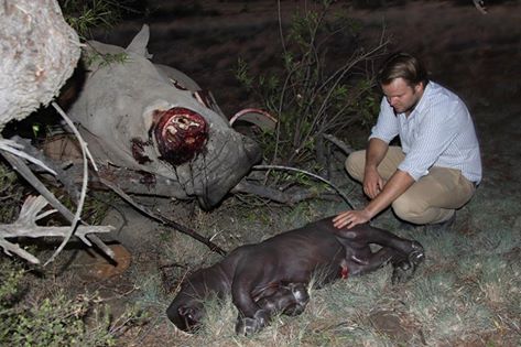 Rhino Reward South Africa
