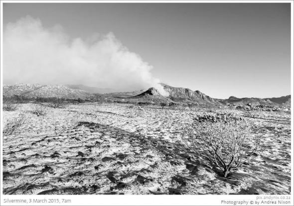 Andy Nix photo of #CapeFire Andy Nix photo of #CapeFire