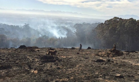 Members of the Tokai Troop survey their smoldering landscape. Pic: Dr Phil Richardson