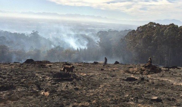 Members of the Tokai Troop survey their smoldering landscape. Pic: Dr Phil Richardson Members of the Tokai Troop survey their smoldering landscape. Pic: Dr Phil Richardson