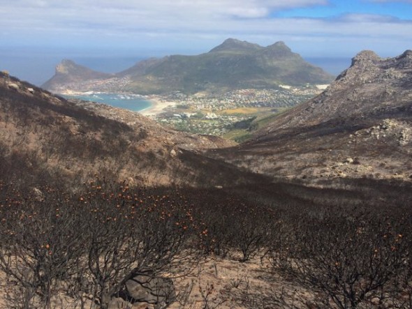 Burnt landscape Burnt landscape