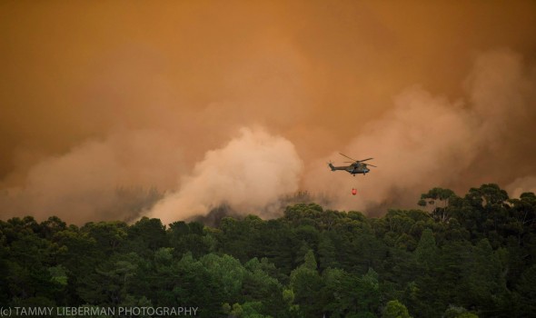 #CapeFire helicopter #CapeFire helicopter