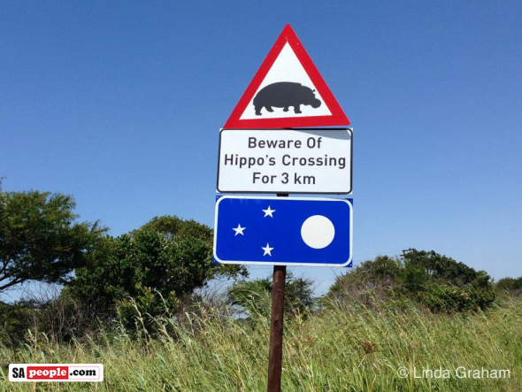 Hippo Crossing, South Africa
