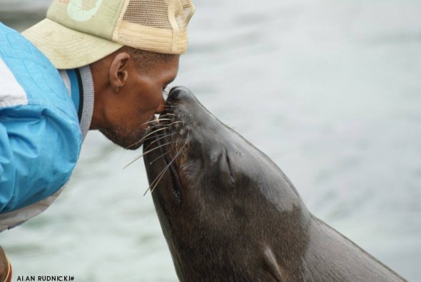 Seal at Kalk Bay. Seal at Kalk Bay.
