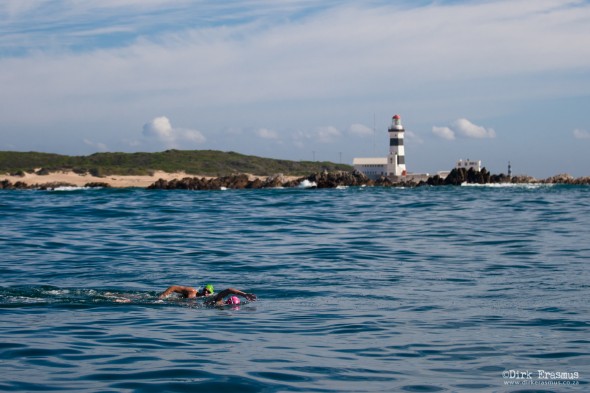 Cape Recife Swim, Wildside to Pollock, South Africa