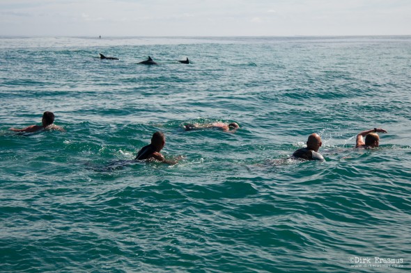 Cape Recife Swim, Wildside to Pollock, South Africa