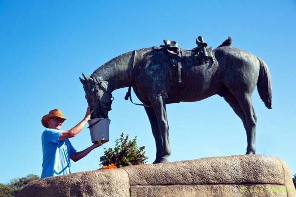 Horse memorial, Port Elizabeth